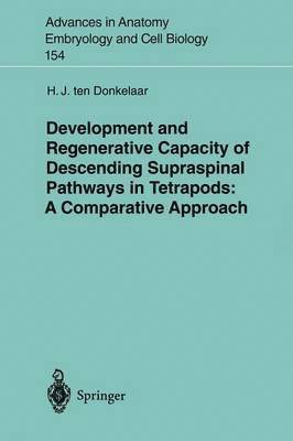 bokomslag Development and Regenerative Capacity of Descending Supraspinal Pathways in Tetrapods