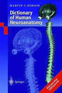 bokomslag Dictionary of Human Neuroanatomy