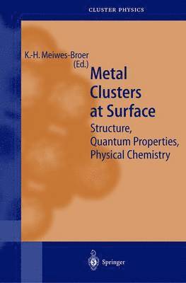 bokomslag Metal Clusters at Surfaces