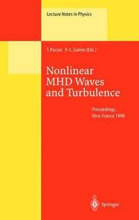 bokomslag Nonlinear MHD Waves and Turbulence