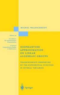 bokomslag Diophantine Approximation on Linear Algebraic Groups