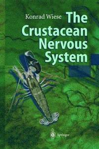 bokomslag The Crustacean Nervous System