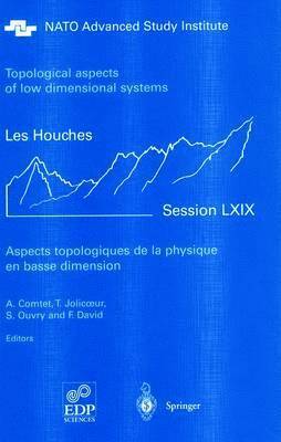 bokomslag Aspects topologiques de la physique en basse dimension. Topological aspects of low dimensional systems