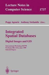 bokomslag Integrated Spatial Databases: Digital Images and GIS
