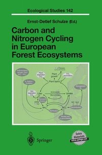 bokomslag Carbon and Nitrogen Cycling in European Forest Ecosystems