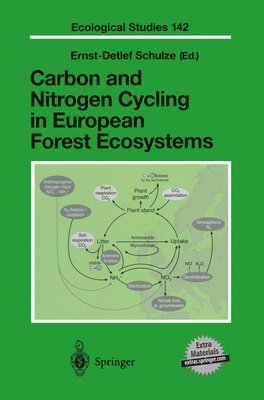 bokomslag Carbon and Nitrogen Cycling in European Forest Ecosystems