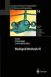 bokomslag Multigrid Methods VI