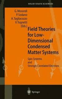 bokomslag Field Theories for Low-Dimensional Condensed Matter Systems