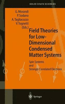 bokomslag Field Theories for Low-Dimensional Condensed Matter Systems