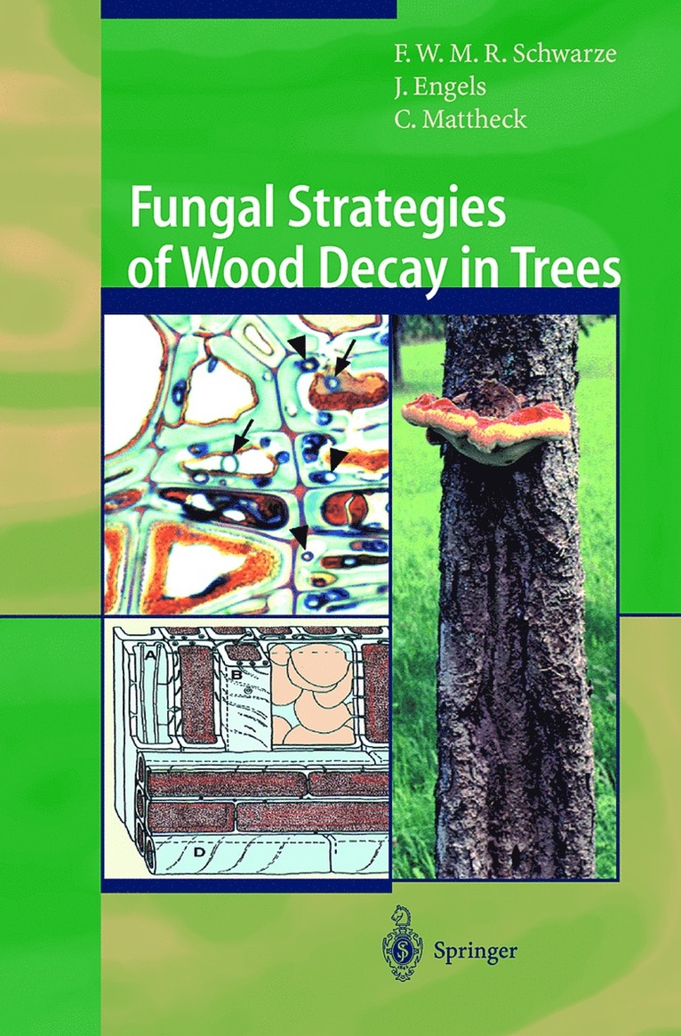 Francis W.M.R. Schwarze, Julia Engels, Claus Mattheck, Francis W. M. R. Schwarze - Fungal Strategies of Wood Decay in Trees, Inbunden