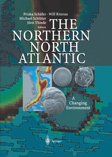 Priska Schäfer, Will Ritzrau, Michael Schlüter, Jörn Thiede - Northern North Atlantic, Inbunden
