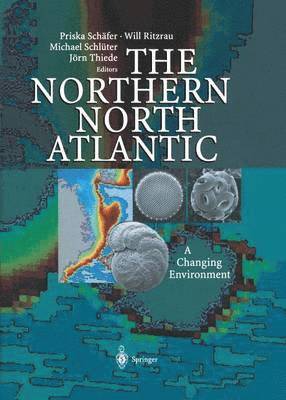 bokomslag The Northern North Atlantic
