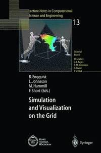 bokomslag Simulation and Visualization on the Grid