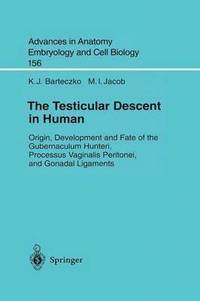 bokomslag The Testicular Descent in Human