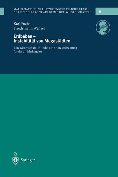 bokomslag Erdbeden  Instabilitt von Megastdten