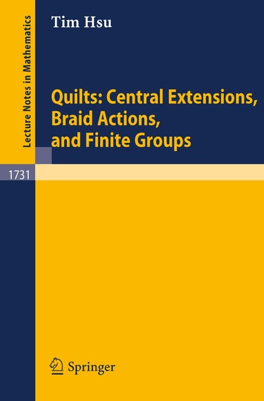 Tim Hsu - Quilts: Central Extensions, Braid Actions, and Finite Groups, Häftad