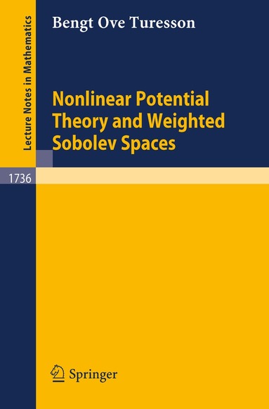 Bengt O. Turesson - Nonlinear Potential Theory and Weighted Sobolev Spaces, Häftad