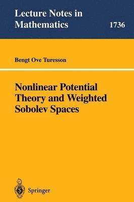 Nonlinear Potential Theory and Weighted Sobolev Spaces 1