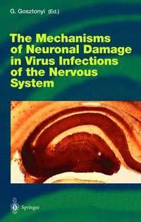 bokomslag Mechanisms of Neuronal Damage in Virus Infections of the Nervous System