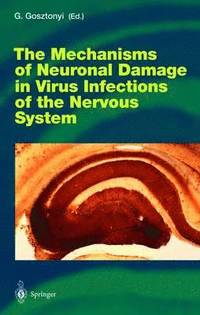 bokomslag The Mechanisms of Neuronal Damage in Virus Infections of the Nervous System