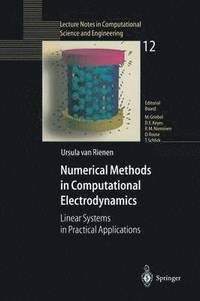 bokomslag Numerical Methods in Computational Electrodynamics