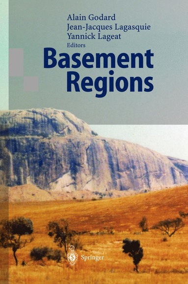 bokomslag Basement Regions