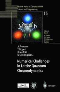 bokomslag Numerical Challenges in Lattice Quantum Chromodynamics