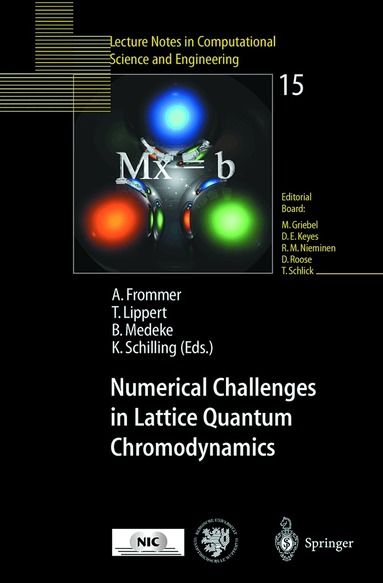 Andreas Frommer, Thomas Lippert, Bjoern Medeke, Klaus Schilling - Numerical Challenges in Lattice Quantum Chromodynamics, Häftad
