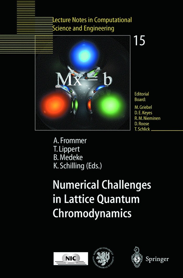 Andreas Frommer, Thomas Lippert, Bjoern Medeke, Klaus Schilling - Numerical Challenges in Lattice Quantum Chromodynamics, Häftad