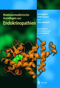 bokomslag Molekularmedizinische Grundlagen Von Endokrinopathien