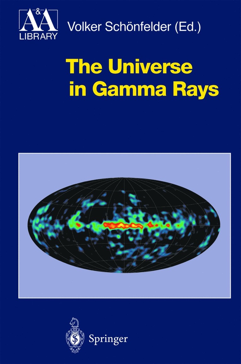 Universe in Gamma Rays