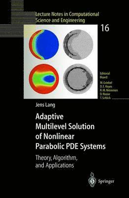 bokomslag Adaptive Multilevel Solution of Nonlinear Parabolic PDE Systems