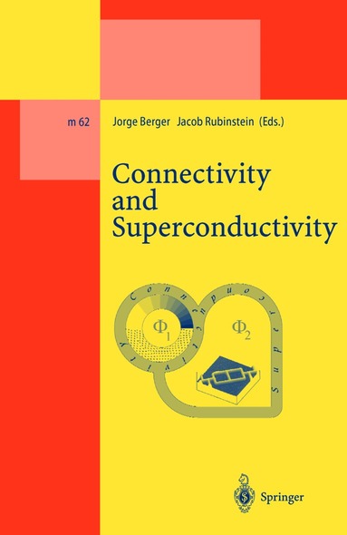 Jorge Berger, Jacob Rubinstein - Connectivity and Superconductivity, Inbunden