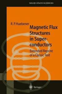 bokomslag Magnetic Flux Structures in Superconductors