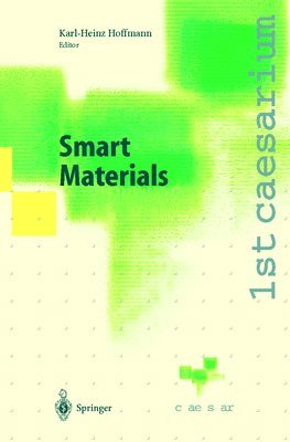 Karl-Heinz Hoffmann, K. H. Hoffmann, Karl Heinz Hoffmann - Smart Materials, Inbunden