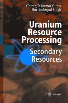 bokomslag Uranium Resource Processing