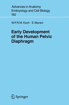 Early Development of the Human Pelvic Diaphragm 1