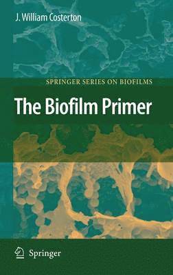 The Biofilm Primer 1