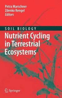 bokomslag Nutrient Cycling in Terrestrial Ecosystems