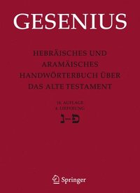 bokomslag Hebrisches und Aramisches Handwrterbuch ber das Alte Testament