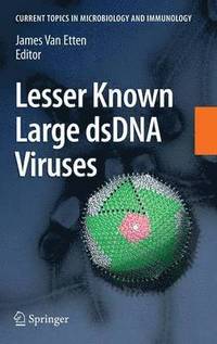 bokomslag Lesser Known Large dsDNA Viruses