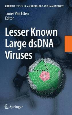 James L. van Etten, James L. Van Etten, James L. van Etten - Lesser Known Large dsDNA Viruses, Inbunden