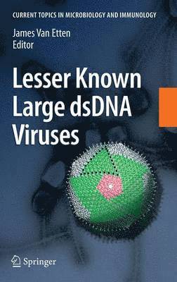 Lesser Known Large dsDNA Viruses 1