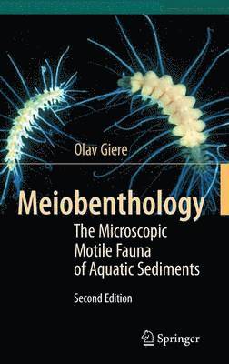 Meiobenthology 1