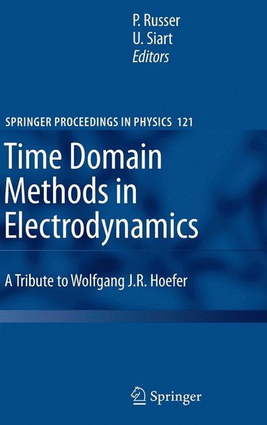 bokomslag Time Domain Methods in Electrodynamics