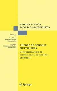 bokomslag Theory of Sobolev Multipliers