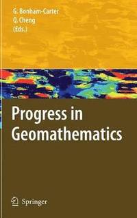 bokomslag Progress in Geomathematics