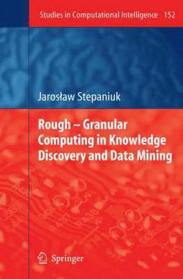 bokomslag Rough  Granular Computing in Knowledge Discovery and Data Mining