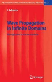 bokomslag Wave Propagation in Infinite Domains