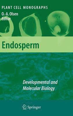Endosperm 1